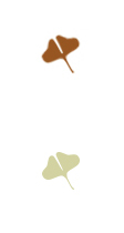 GINKO